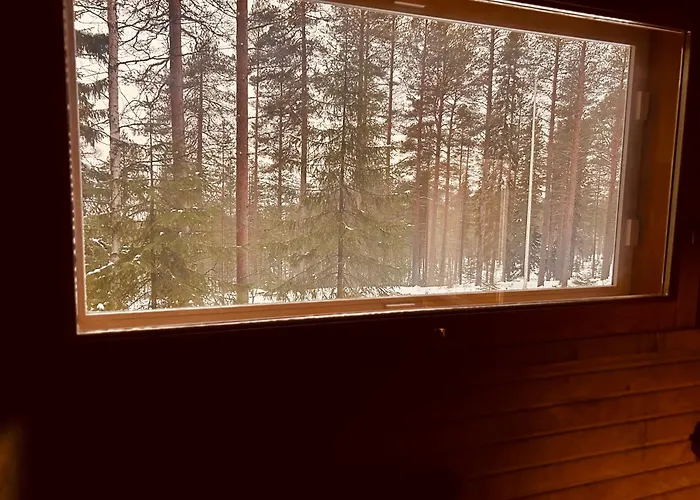 Kaamos Old House