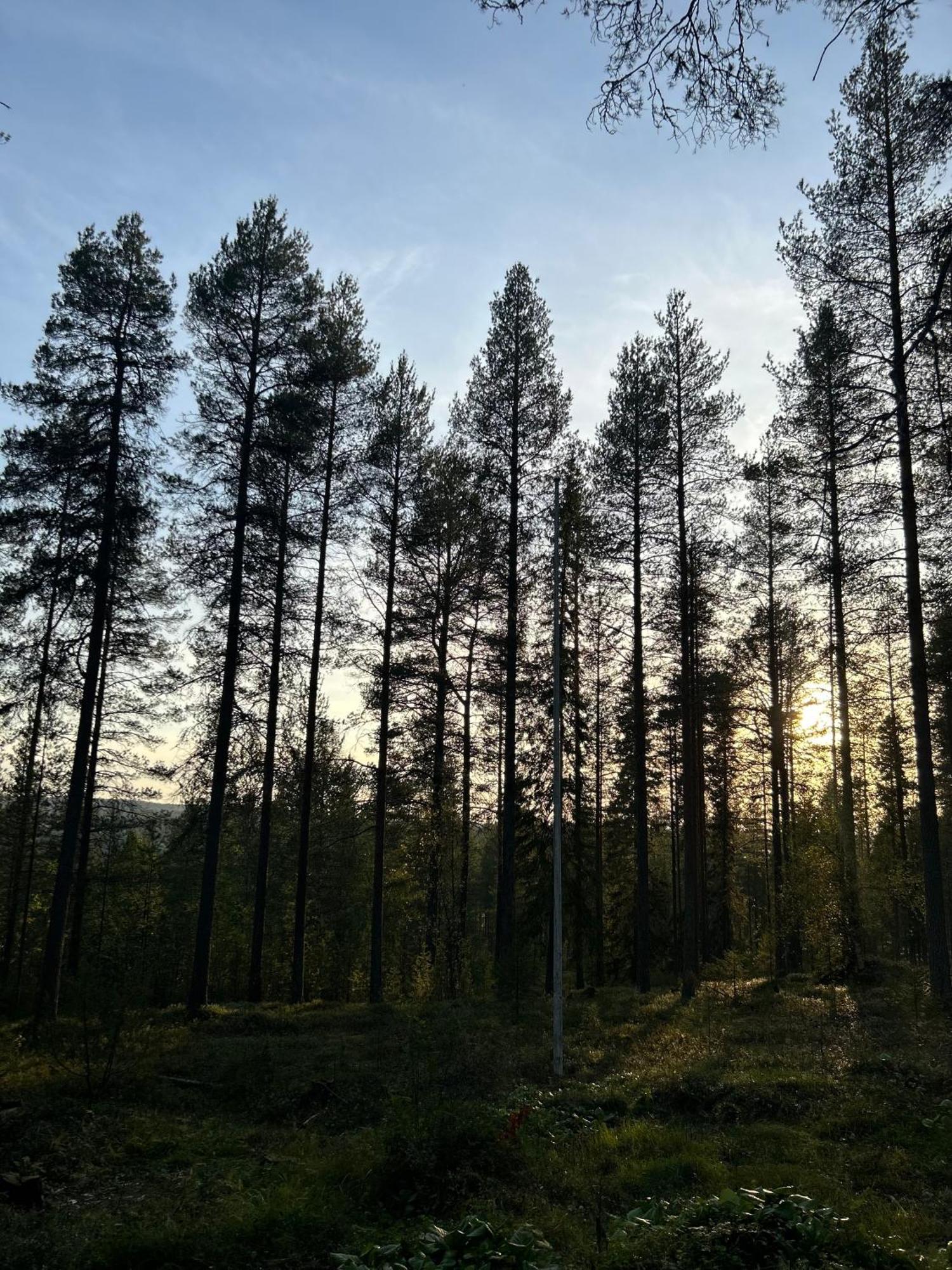 Kaamos Old House Semesterbostad *