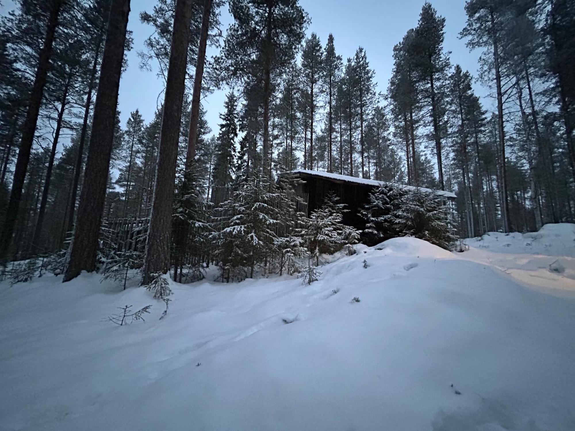 Kaamos Old House * Rovaniemi